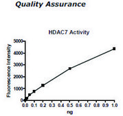 HDAC-7 human recombinant, expressed in baculovirus infected insect cells, ≥70% (SDS-PAGE)