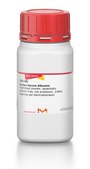 Bovine Serum Albumin lyophilized powder, essentially globulin free, low endotoxin, &#8805;98% (agarose gel electrophoresis)
