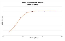 RANK Ligand from mouse &#8805;98% (SDS-PAGE), recombinant, expressed in E. coli, lyophilized powder, suitable for cell culture