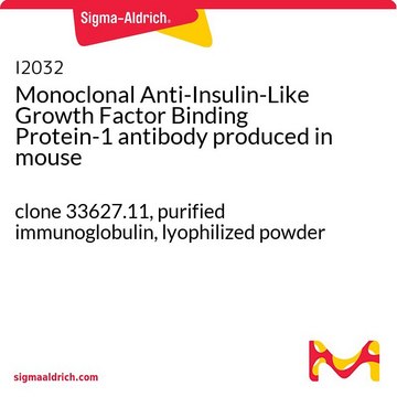 Monoclonal Anti-Insulin-Like Growth Factor Binding Protein-1 antibody produced in mouse clone 33627.11, purified immunoglobulin, lyophilized powder