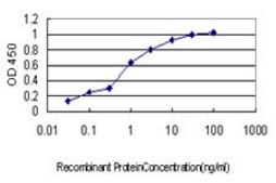 Monoclonal Anti-CASP10 antibody produced in mouse clone 1D8, purified immunoglobulin, buffered aqueous solution