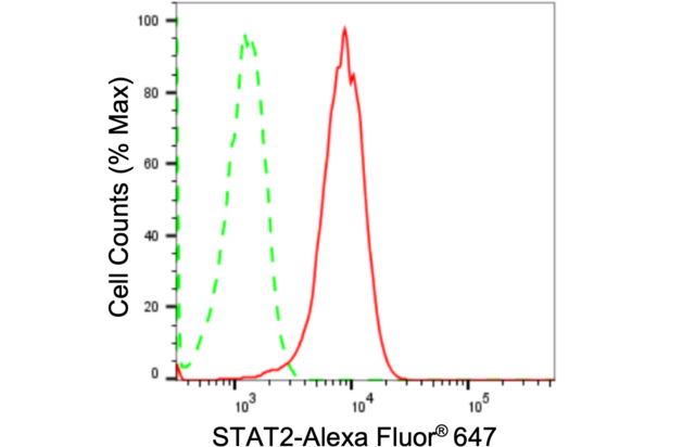 Anti STAT2 Antibody, clone 24GB2095, Rabbit Monoclonal clone 24GB2095, recombinant rabbit monoclonal, expressed in HEK293 cells
