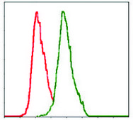 Monoclonal Anti-ALPL antibody produced in mouse clone 2F4, purified immunoglobulin, buffered aqueous solution