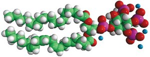 18:0-20:4 PI(3,4,5)P3 1-stearoyl-2-arachidonoyl-sn-glycero-3-phospho-(1&#8242;-myo-inositol-3&#8242;,4&#8242;,5&#8242;-trisphosphate) (ammonium salt), powder