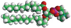 16:0-18:0 PC 1-palmitoyl-2-stearoyl-sn-glycero-3-phosphocholine, chloroform