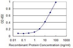 Monoclonal Anti-WWTR1 antibody produced in mouse clone 1F1, purified immunoglobulin, buffered aqueous solution