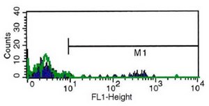 Monoclonal Anti-CD8 antibody produced in mouse clone UCHT-4, purified immunoglobulin, buffered aqueous solution