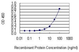 Monoclonal Anti-NCSTN antibody produced in mouse clone 1E8, purified immunoglobulin, buffered aqueous solution