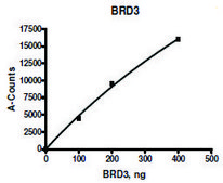 BRD3 (29-145) His tag human recombinant, expressed in E. coli, &#8805;88% (SDS-PAGE)