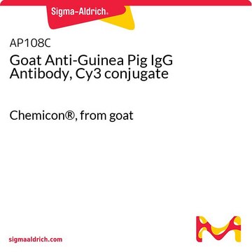 Goat Anti-Guinea Pig IgG Antibody, Cy3 conjugate Chemicon&#174;, from goat