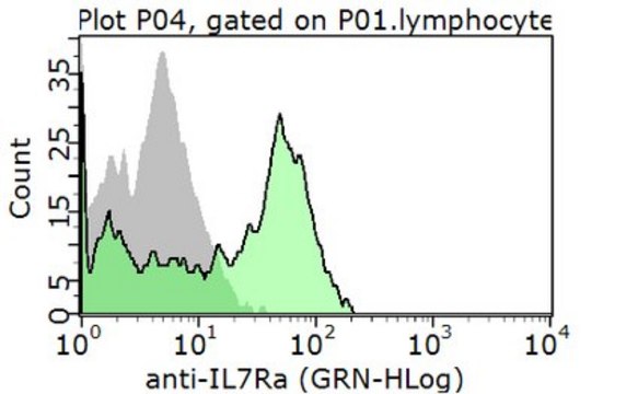 Anti-IL-7Ra (CD127), extracellular Antibody from rabbit, purified by affinity chromatography