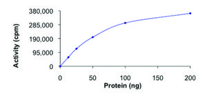 CDK5/p35., active, GST tagged human PRECISIO&#174; Kinase, recombinant, expressed in baculovirus infected Sf9 cells, &#8805;70% (SDS-PAGE), buffered aqueous glycerol solution