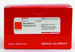 NeuroPorter™ Transfection Kit Lipid formulation for nucleic acid transfections in neuronal and glial cells