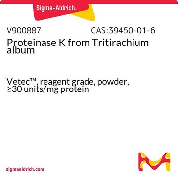 Proteinase&#160;K from Tritirachium album Vetec&#8482;, reagent grade, powder, &#8805;30&#160;units/mg protein