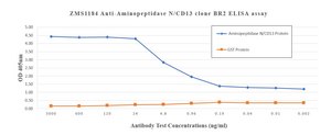 Anti-APN/CD13 Antibody, clone BR2 ZooMAb&#174; Mouse Monoclonal recombinant, expressed in HEK 293 cells