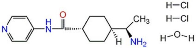 Y-27632-CAS 331752-47-7-Calbiochem Y-27632A, CAS 331752-47-7, is a cell-permeable, reversible, inhibitor of Rho kinases (Ki = 140 nM for p160ROCK). Enhances survival &amp; cloning efficiency of ESC without affecting their pluripotency.