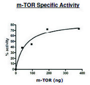 mTOR/Raptor/MLST8 human recombinant, expressed in baculovirus infected Sf9 cells, &#8805;50% (SDS-PAGE)