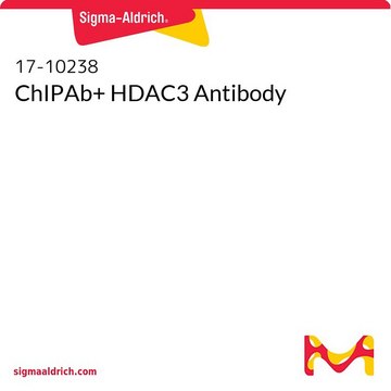 ChIPAb+ HDAC3 Antibody