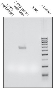 Phosphate Buffered Saline DNase free, microbial DNA free, 1X solution, pH 7.5