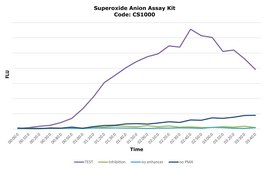 Superoxide Anion Assay Kit sufficient for 100&#160;assays (96 well plates)