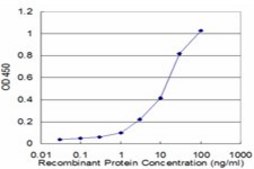Monoclonal Anti-PRKAB1 antibody produced in mouse clone 3H12-1A10, purified immunoglobulin, buffered aqueous solution