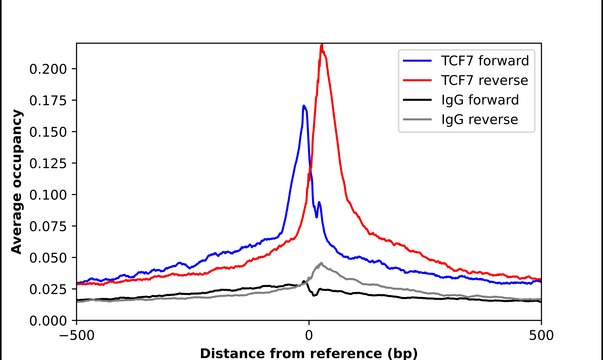 Anti-TCF7 antibody produced in rabbit Prestige Antibodies&#174; Powered by Atlas Antibodies, affinity isolated antibody