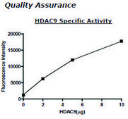HDAC-9 human recombinant, expressed in baculovirus infected insect cells, ≥80% (SDS-PAGE)