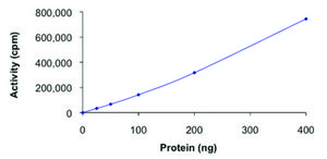 JAK3 (781-end), active, GST tagged human PRECISIO&#174; Kinase, recombinant, expressed in baculovirus infected Sf9 cells, &#8805;70% (SDS-PAGE), buffered aqueous glycerol solution