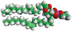 18:0-18:1 PE 1-stearoyl-2-oleoyl-sn-glycero-3-phosphoethanolamine, powder
