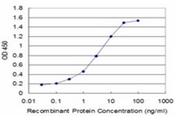 Monoclonal Anti-EDNRA antibody produced in mouse clone 2A5, purified immunoglobulin, buffered aqueous solution