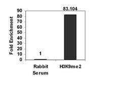 ChIPAb+ Dimethyl-Histone H3 (Lys9) - ChIP Validated Antibody and Primer Set serum, from rabbit