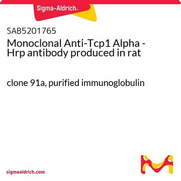Monoclonal Anti-Tcp1 Alpha - Hrp antibody produced in rat clone 91a, purified immunoglobulin