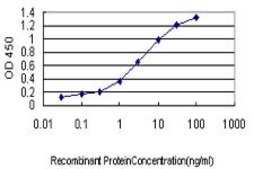 Monoclonal Anti-PUM2 antibody produced in mouse clone 1C8, purified immunoglobulin, buffered aqueous solution