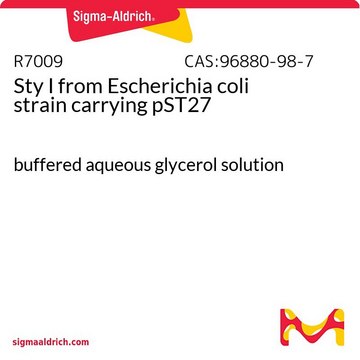 Sty I from Escherichia coli strain carrying pST27 buffered aqueous glycerol solution