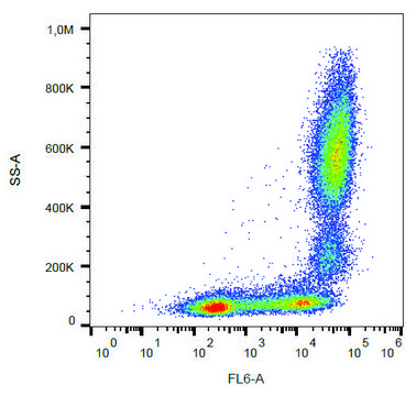 Monoclonal Anti-CD11b-APC antibody produced in mouse clone MEM-174