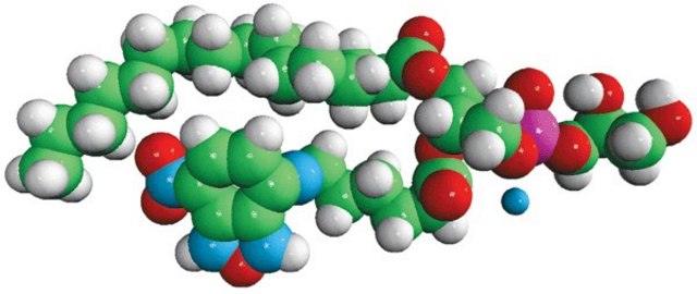 16:0-06:0 NBD PG Avanti Research&#8482; - A Croda Brand 810163P, powder