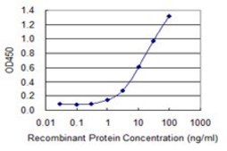 Monoclonal Anti-TNFSF13B antibody produced in mouse clone 3G6, purified immunoglobulin, buffered aqueous solution