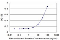 Monoclonal Anti-HOXC5, (N-terminal) antibody produced in mouse clone 1E10, purified immunoglobulin, buffered aqueous solution