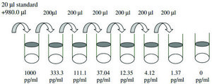 Mouse TIMP-1 ELISA Kit for cell and tissue lysates