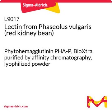 Lectin from Phaseolus vulgaris (red kidney bean) BioXtra, Phytohemagglutinin PHA-P, purified by affinity chromatography, lyophilized powder