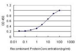 ANTI-CA1 antibody produced in mouse clone 10E4, purified immunoglobulin, buffered aqueous solution