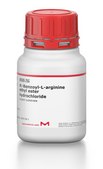 N&#945;-Benzoyl-L-arginine ethyl ester hydrochloride trypsin substrate
