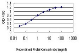 Monoclonal Anti-BRD2 antibody produced in mouse clone 3D10, purified immunoglobulin, buffered aqueous solution