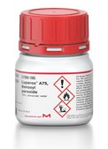 Luperox&#174; A75, Benzoyl peroxide 75%, remainder water