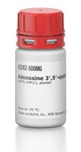 Adenosine 3&#8242;,5&#8242;-cyclic monophosphate tris salt &#8805;97% (HPLC), powder