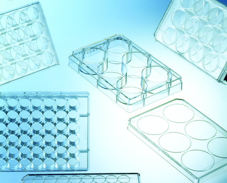 Greiner CELLSTAR® multiwell culture plates 48 wells (suspension culture with lid)