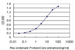 Monoclonal Anti-CYP24A1 antibody produced in mouse clone 1F8, purified immunoglobulin, buffered aqueous solution