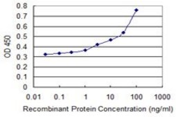 Monoclonal Anti-ATM antibody produced in mouse clone 2C10, purified immunoglobulin, buffered aqueous solution