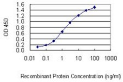 Monoclonal Anti-NFIX antibody produced in mouse clone 3D2, purified immunoglobulin, buffered aqueous solution