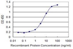Monoclonal Anti-SPRY1, (N-terminal) antibody produced in mouse clone 2F1, purified immunoglobulin, buffered aqueous solution